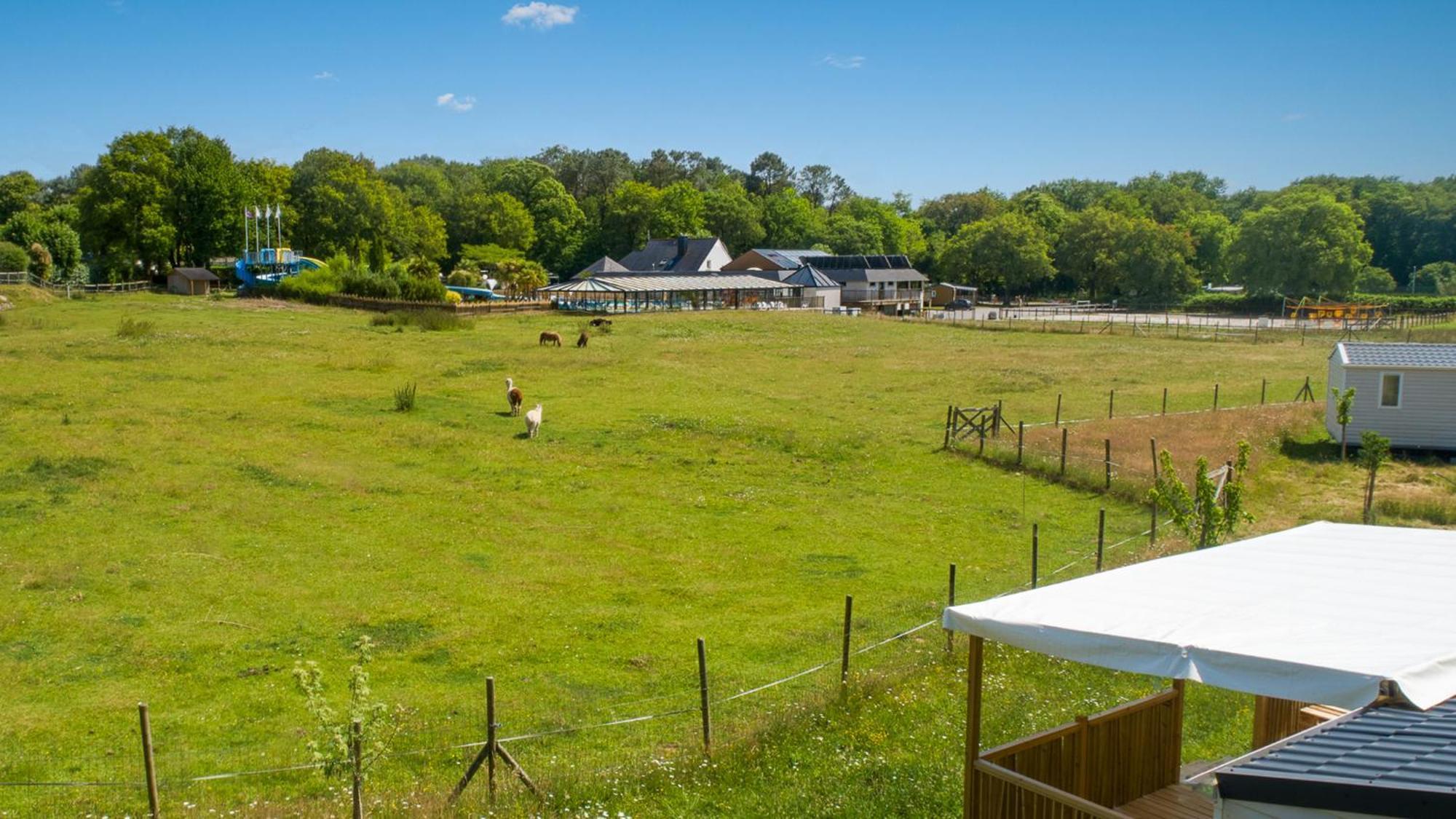 Camping Monterblanc Exterior foto